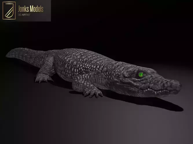 Dwarf Crocodile