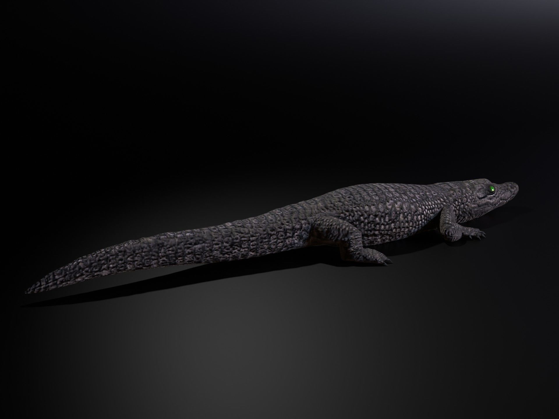Dwarf Crocodile Low-poly 3D model_3