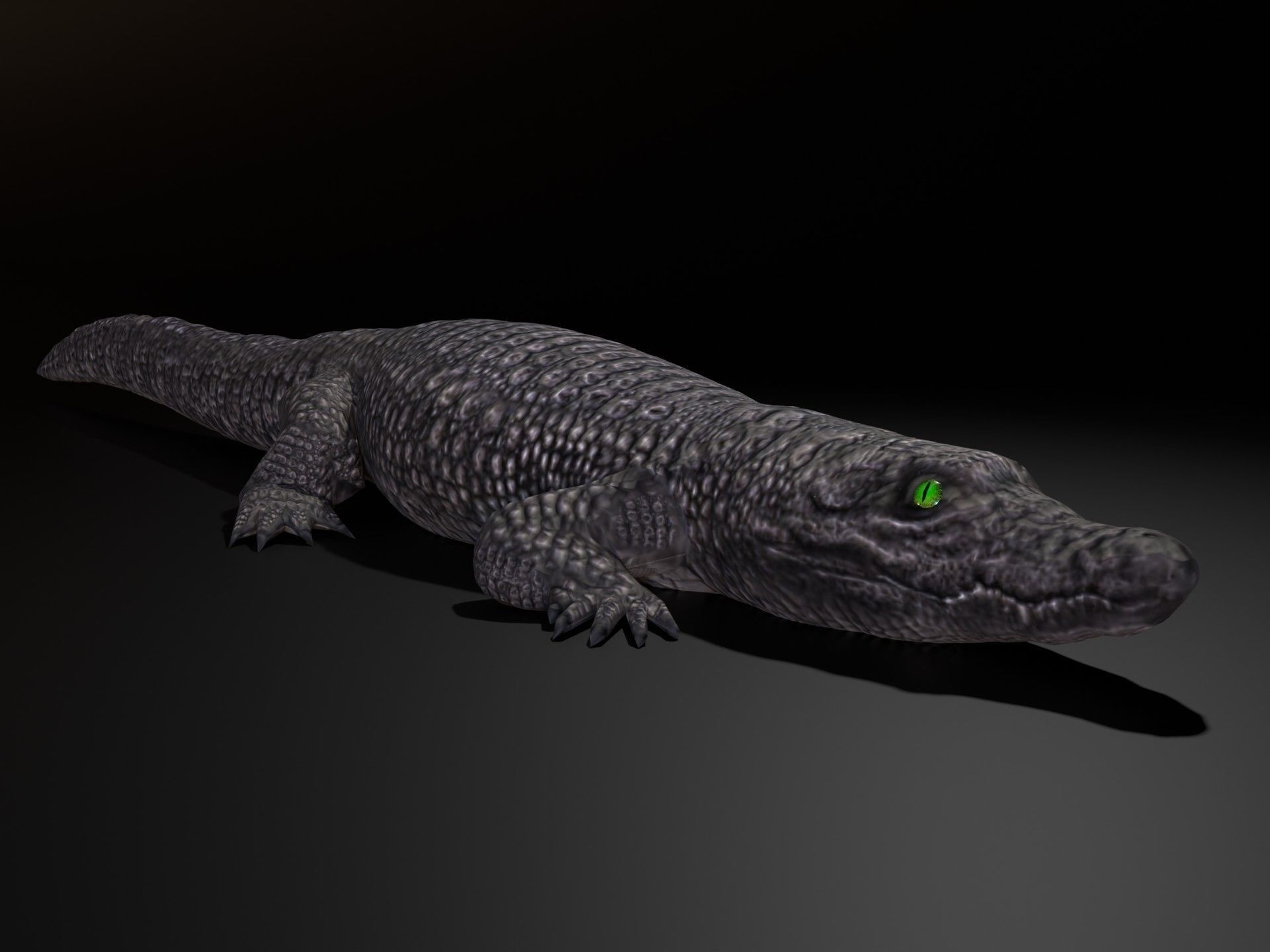 Dwarf Crocodile Low-poly 3D model_5