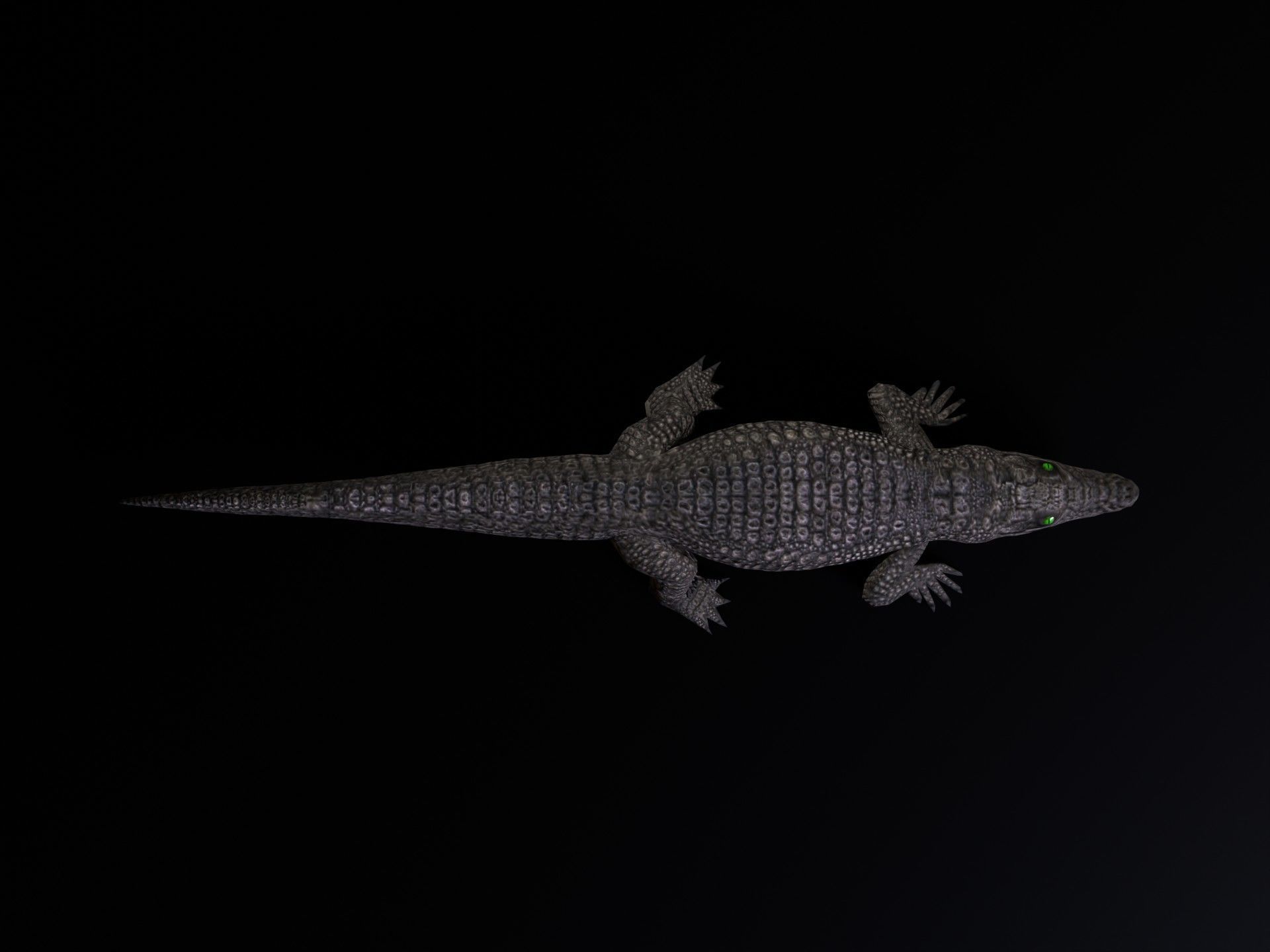Dwarf Crocodile Low-poly 3D model_4