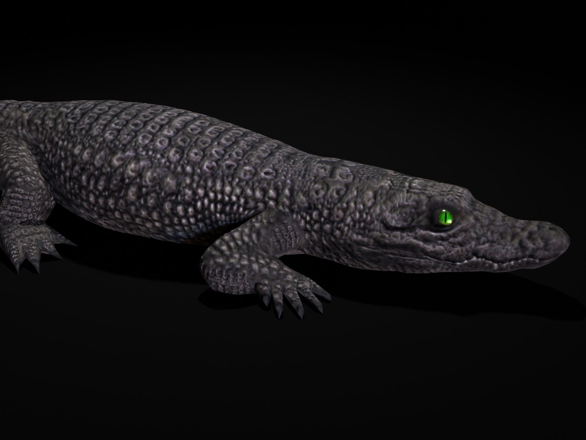 Dwarf Crocodile Low-poly 3D model_2