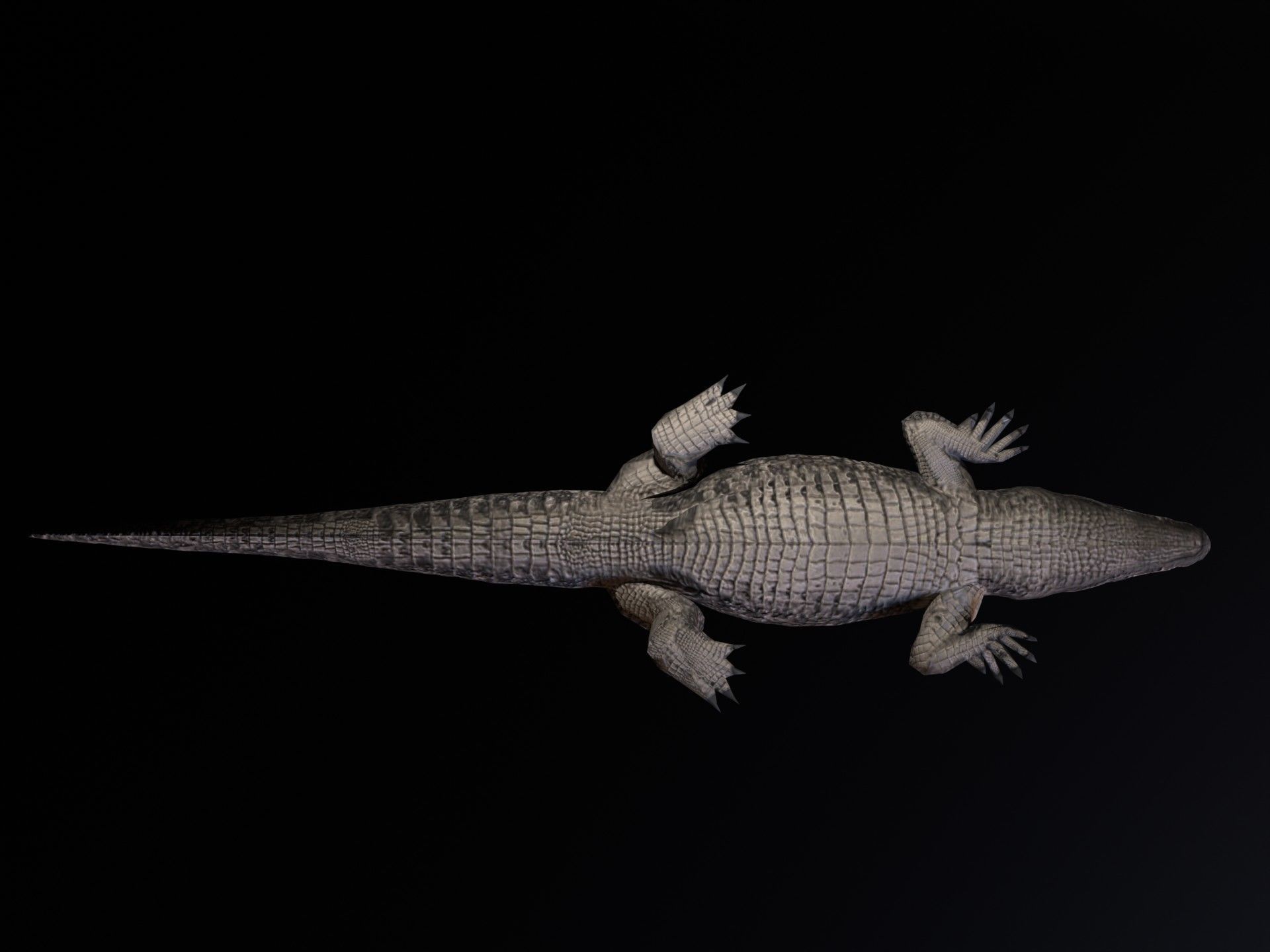 Dwarf Crocodile Low-poly 3D model_6