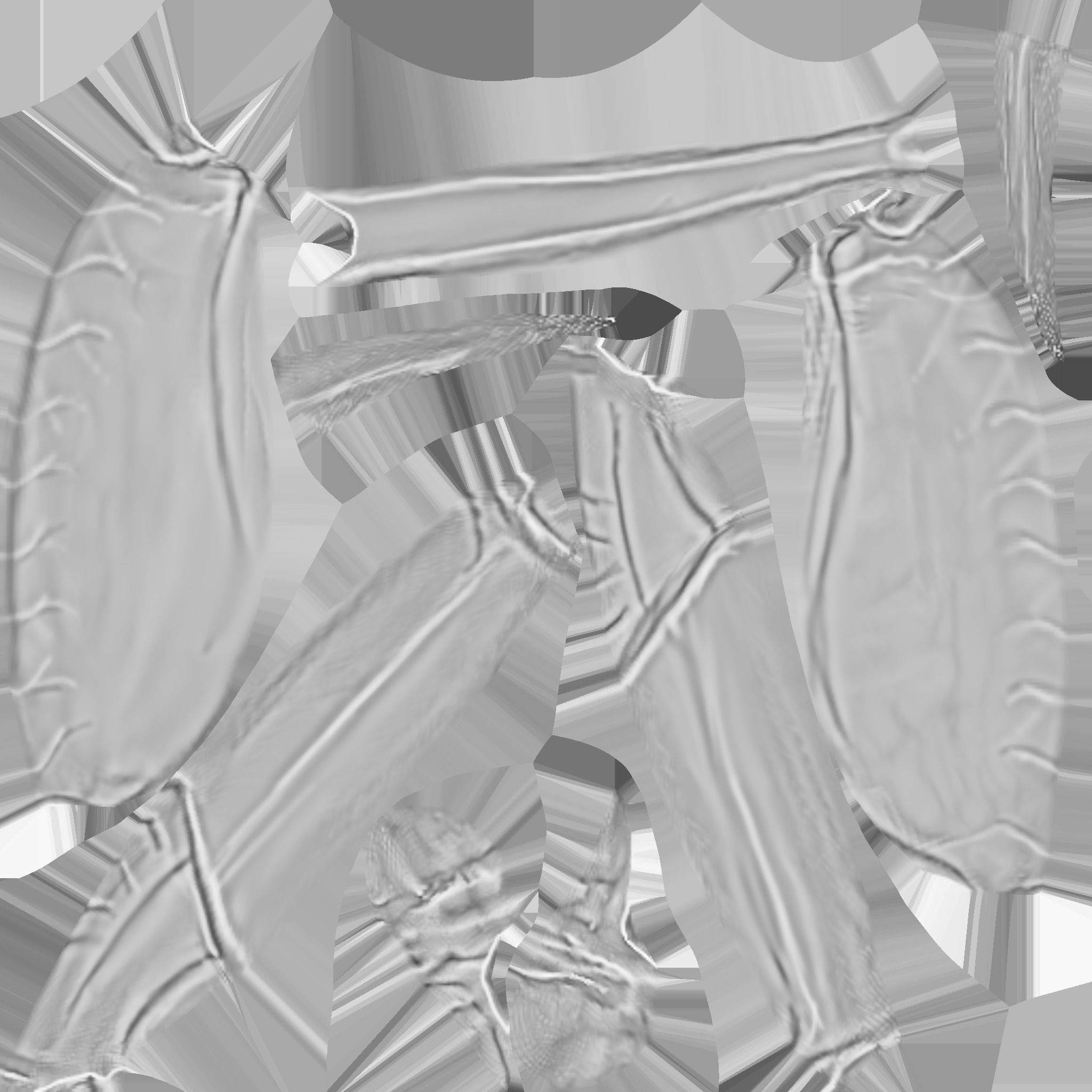 Crab   Ghost crab   Sand crab 3D model_36