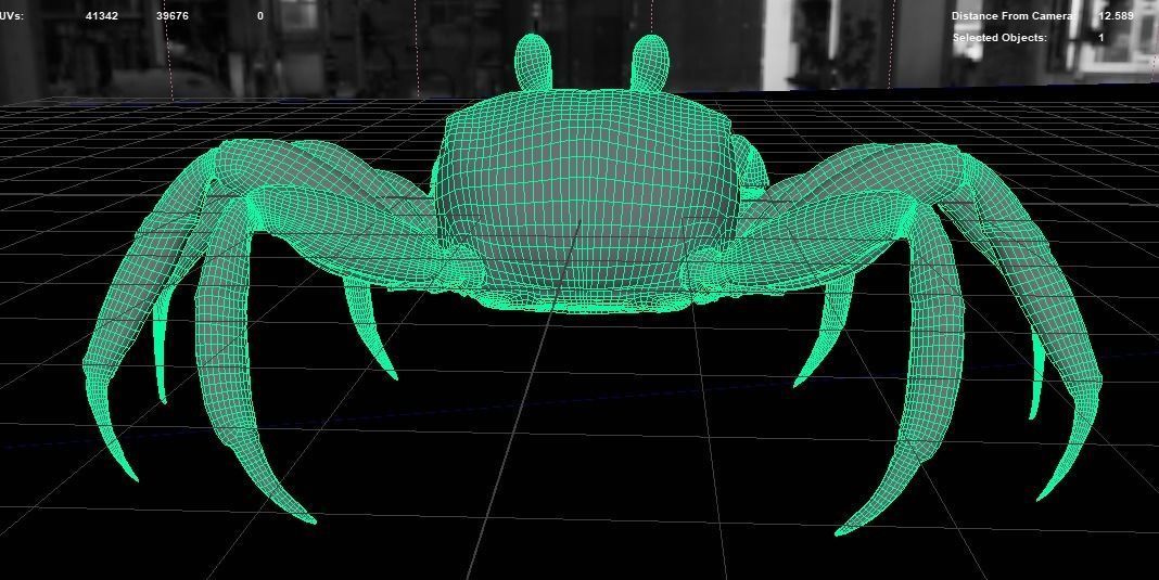 Crab   Ghost crab   Sand crab 3D model_5