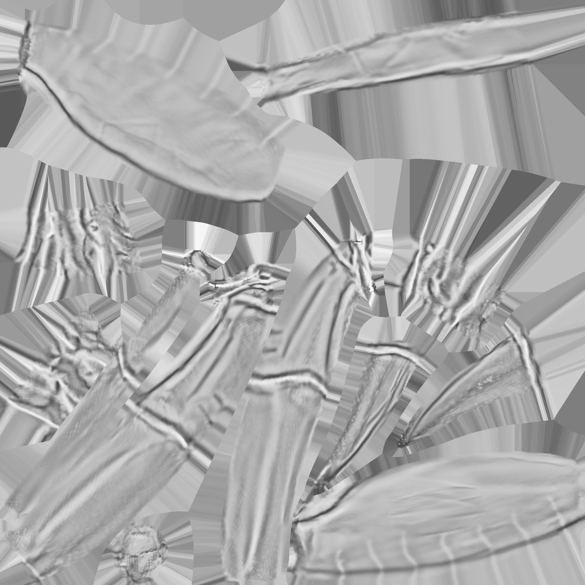 Crab   Ghost crab   Sand crab 3D model_37