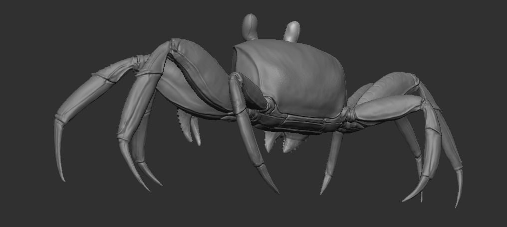 Crab   Ghost crab   Sand crab 3D model_4