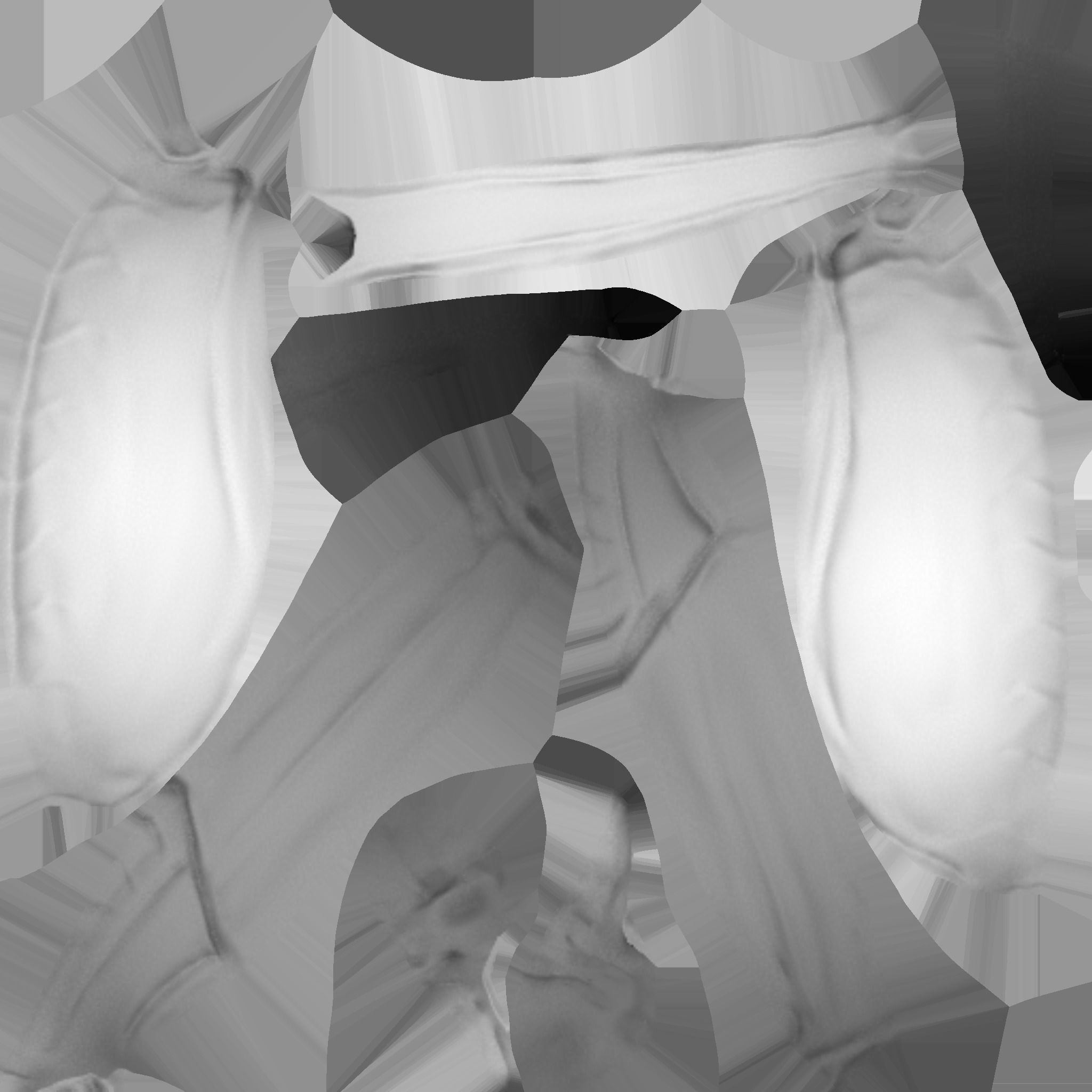 Crab   Ghost crab   Sand crab 3D model_35