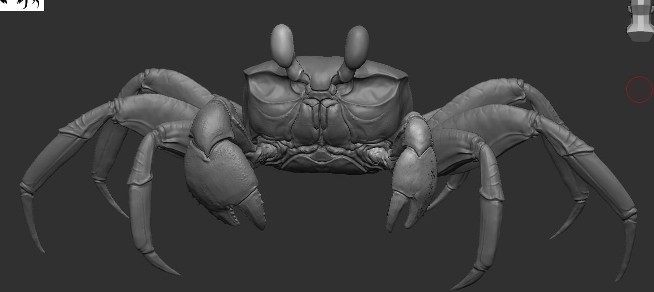 Crab   Ghost crab   Sand crab 3D model_3