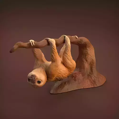 Baby Sloth for 3D Printing 3D print model