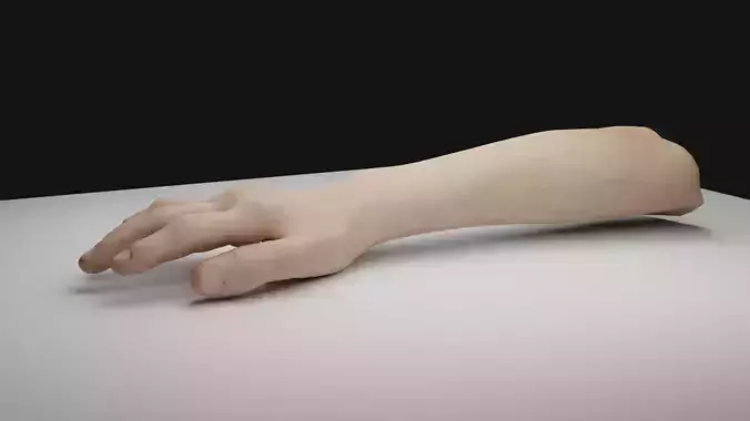 Human realistic hand 3D