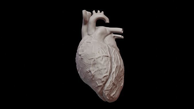 Heart 3D print model