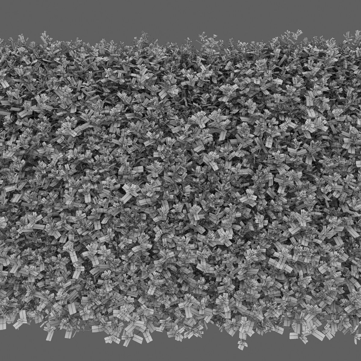 Ligustrum hedge 04 3D model_5