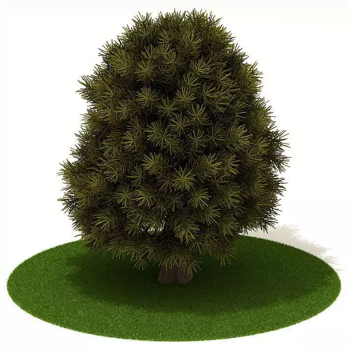 3 D Tree Texture 3D model_0