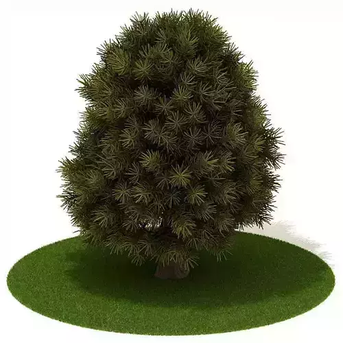 3 D Tree Texture 3D model