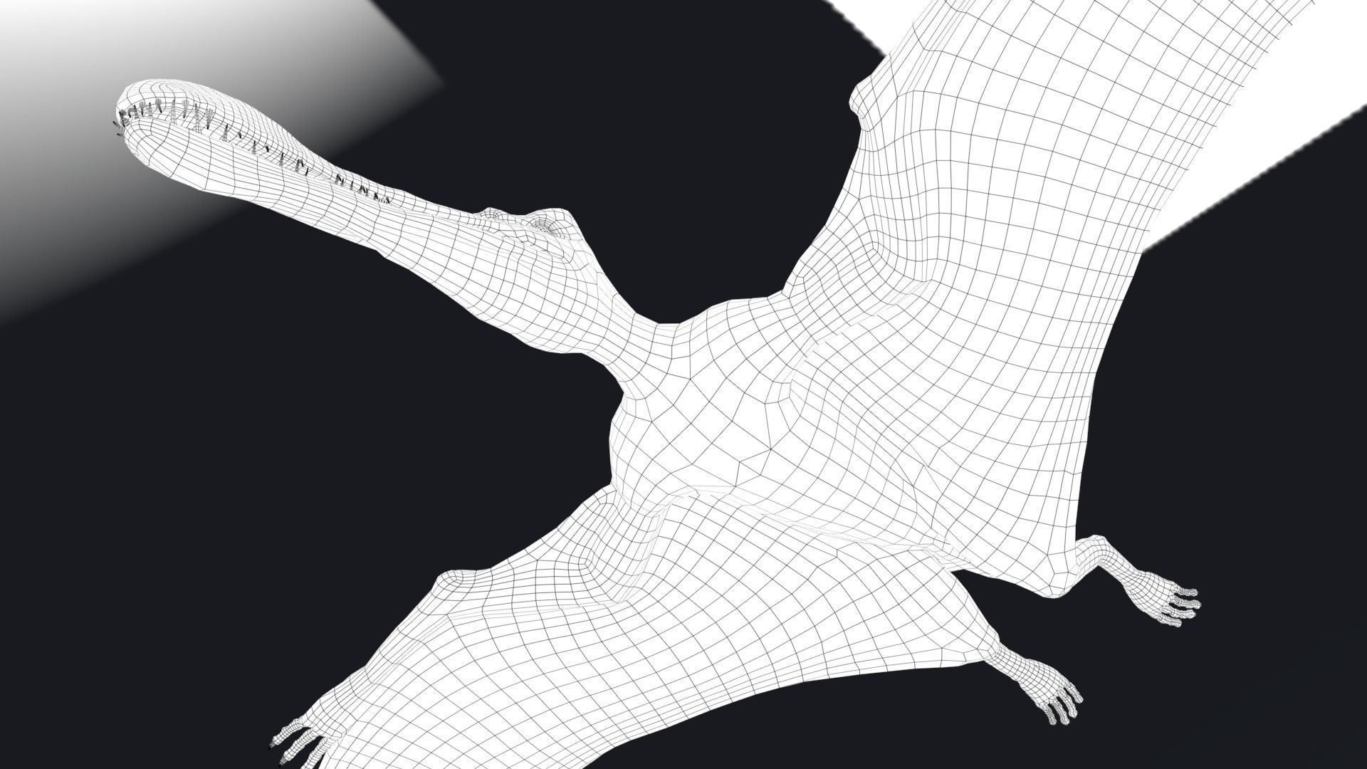 Dinosaur Tropeognathus dinosaur flying Low-poly 3D model_25