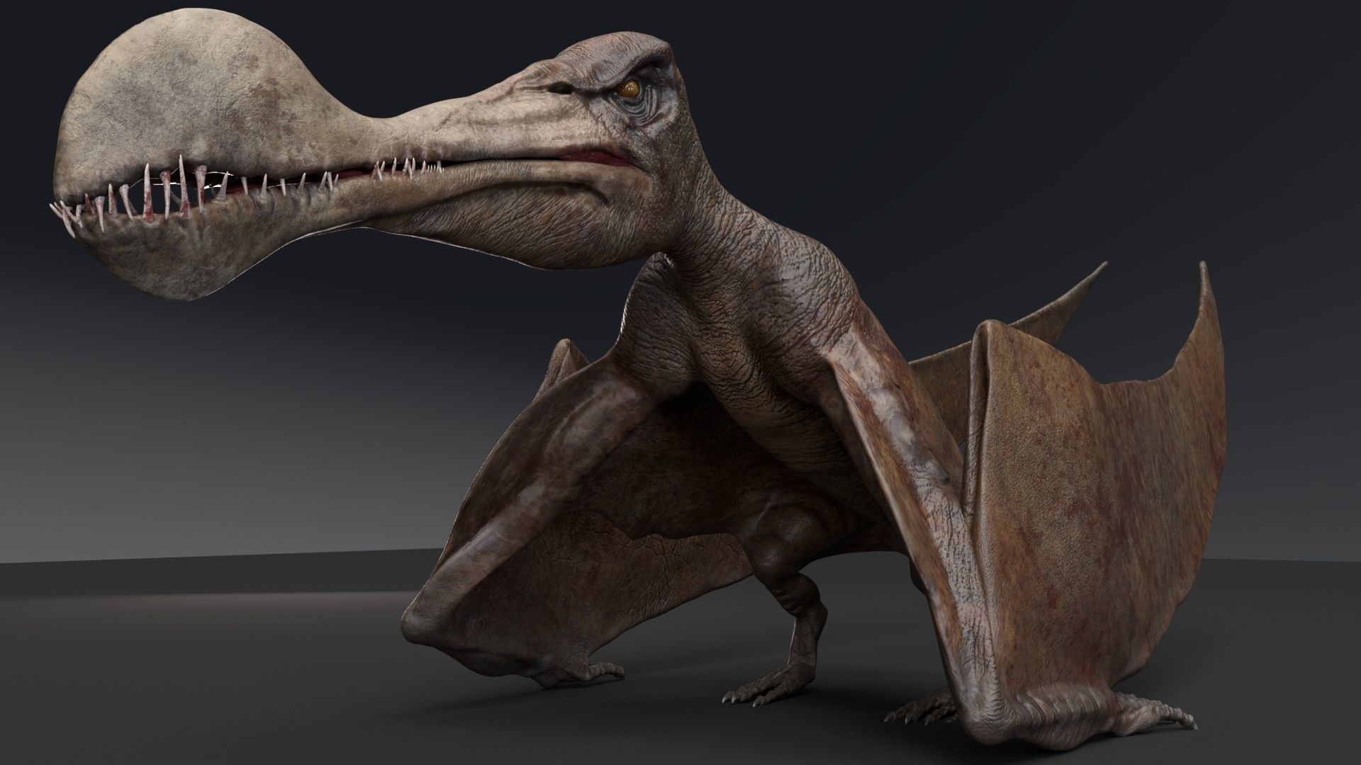 Dinosaur Tropeognathus dinosaur flying Low-poly 3D model_10