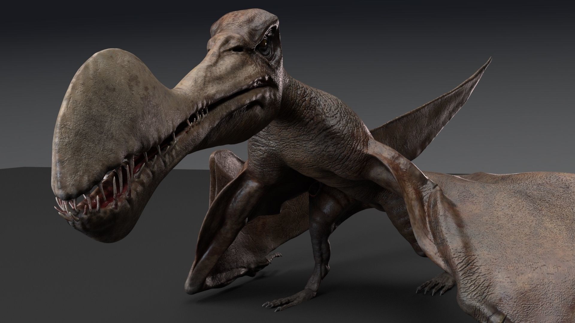 Dinosaur Tropeognathus dinosaur flying Low-poly 3D model_9