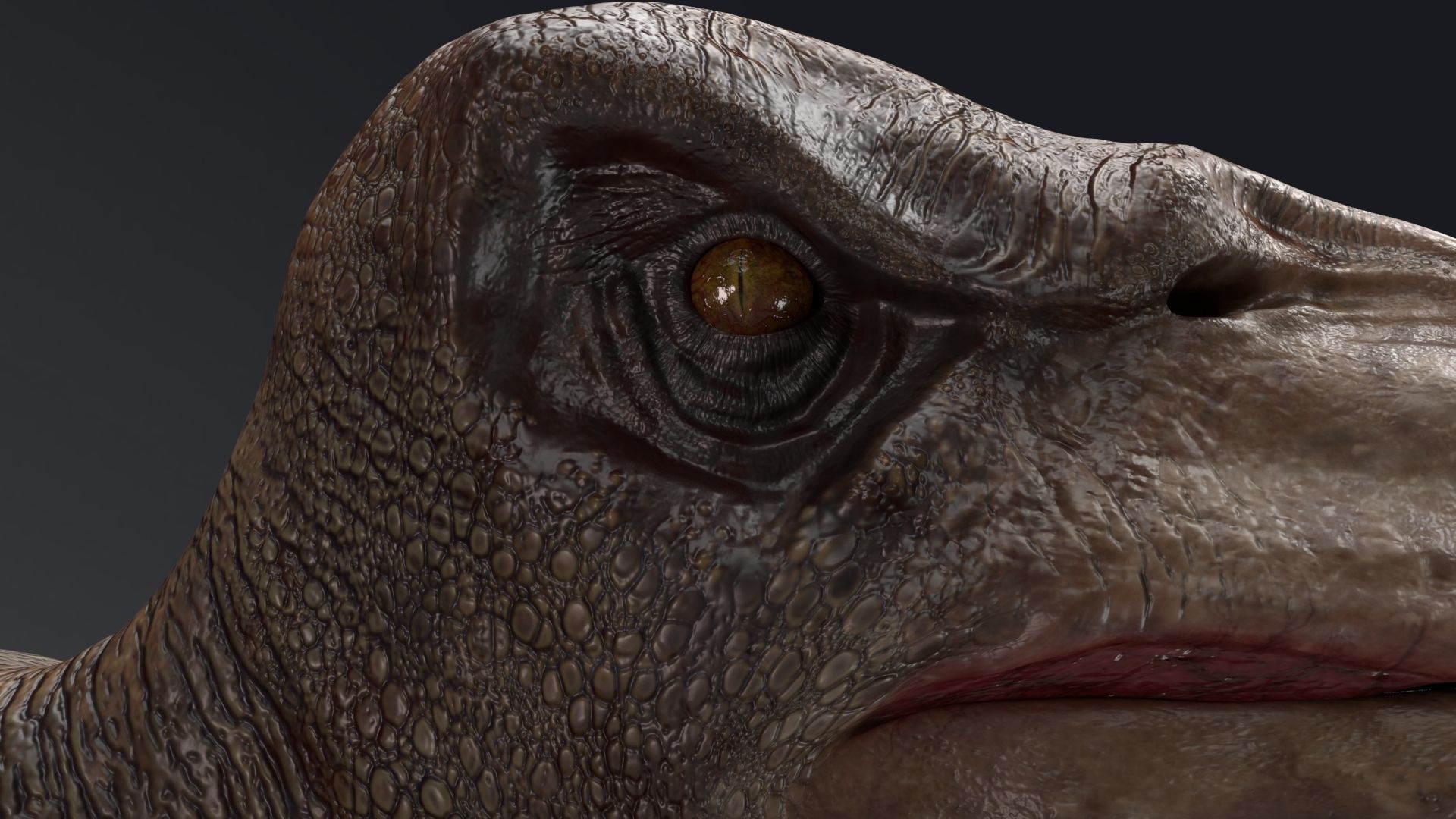 Dinosaur Tropeognathus dinosaur flying Low-poly 3D model_6