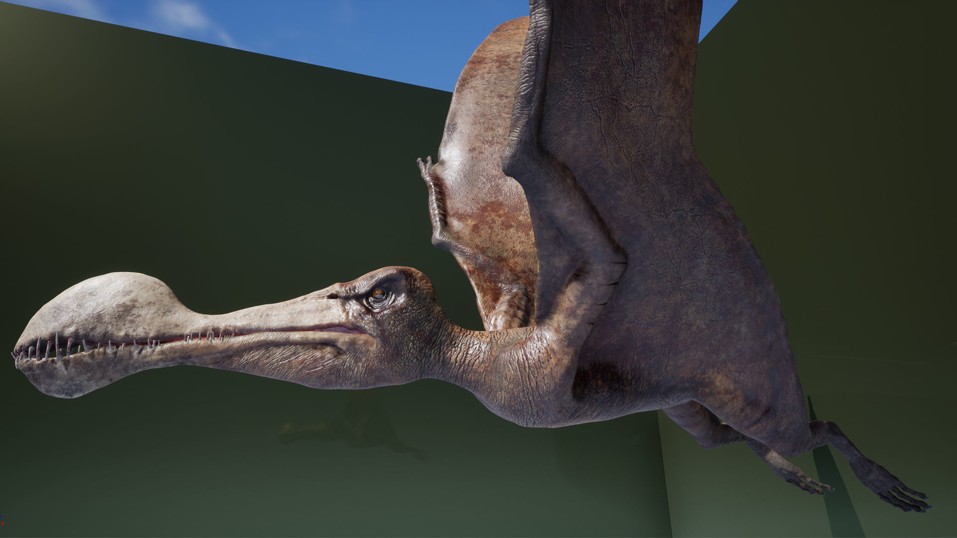 Dinosaur Tropeognathus dinosaur flying Low-poly 3D model_12