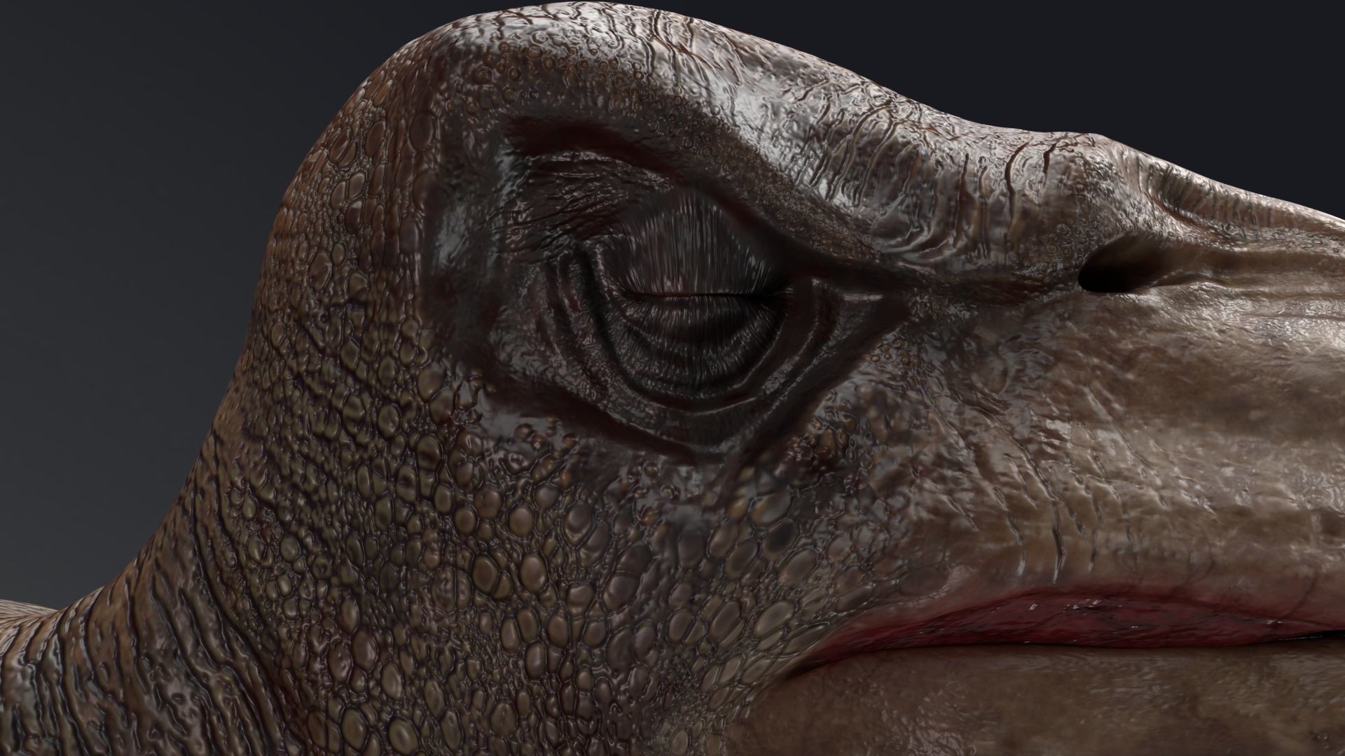 Dinosaur Tropeognathus dinosaur flying Low-poly 3D model_5