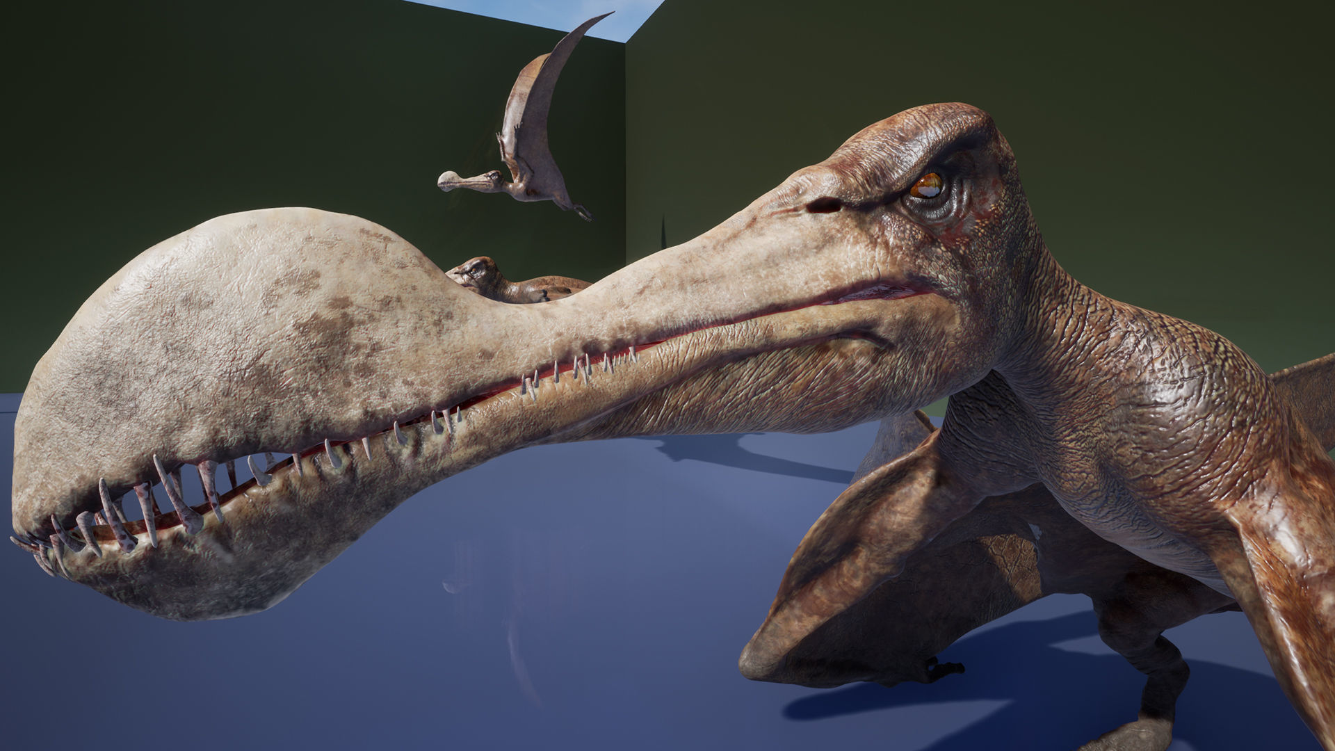 Dinosaur Tropeognathus dinosaur flying Low-poly 3D model_11