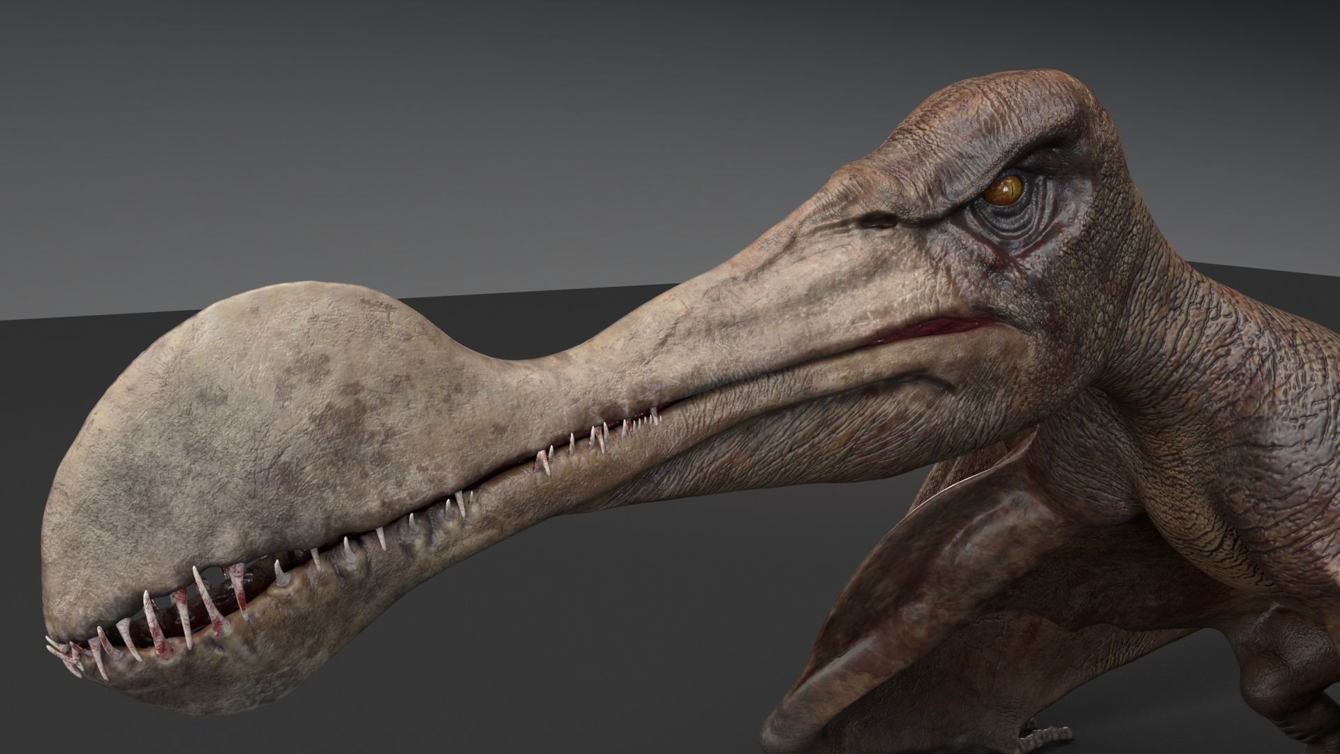 Dinosaur Tropeognathus dinosaur flying Low-poly 3D model_14