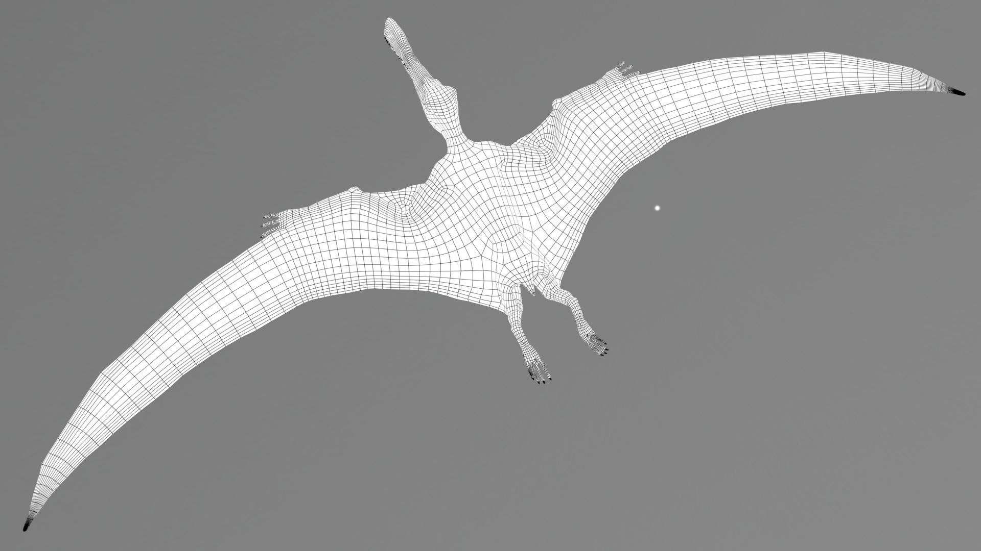 Dinosaur Tropeognathus dinosaur flying Low-poly 3D model_23