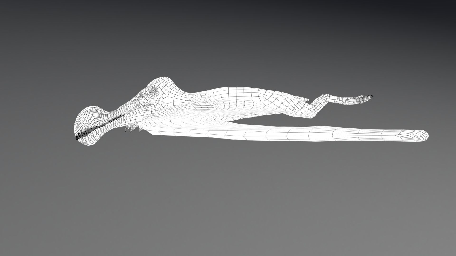 Dinosaur Tropeognathus dinosaur flying Low-poly 3D model_24