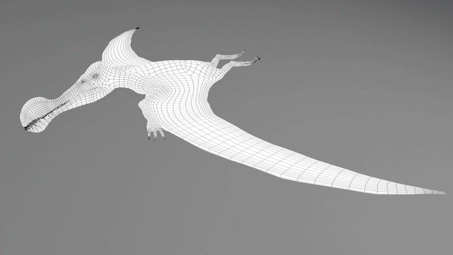 Dinosaur Tropeognathus dinosaur flying Low-poly 3D model_21