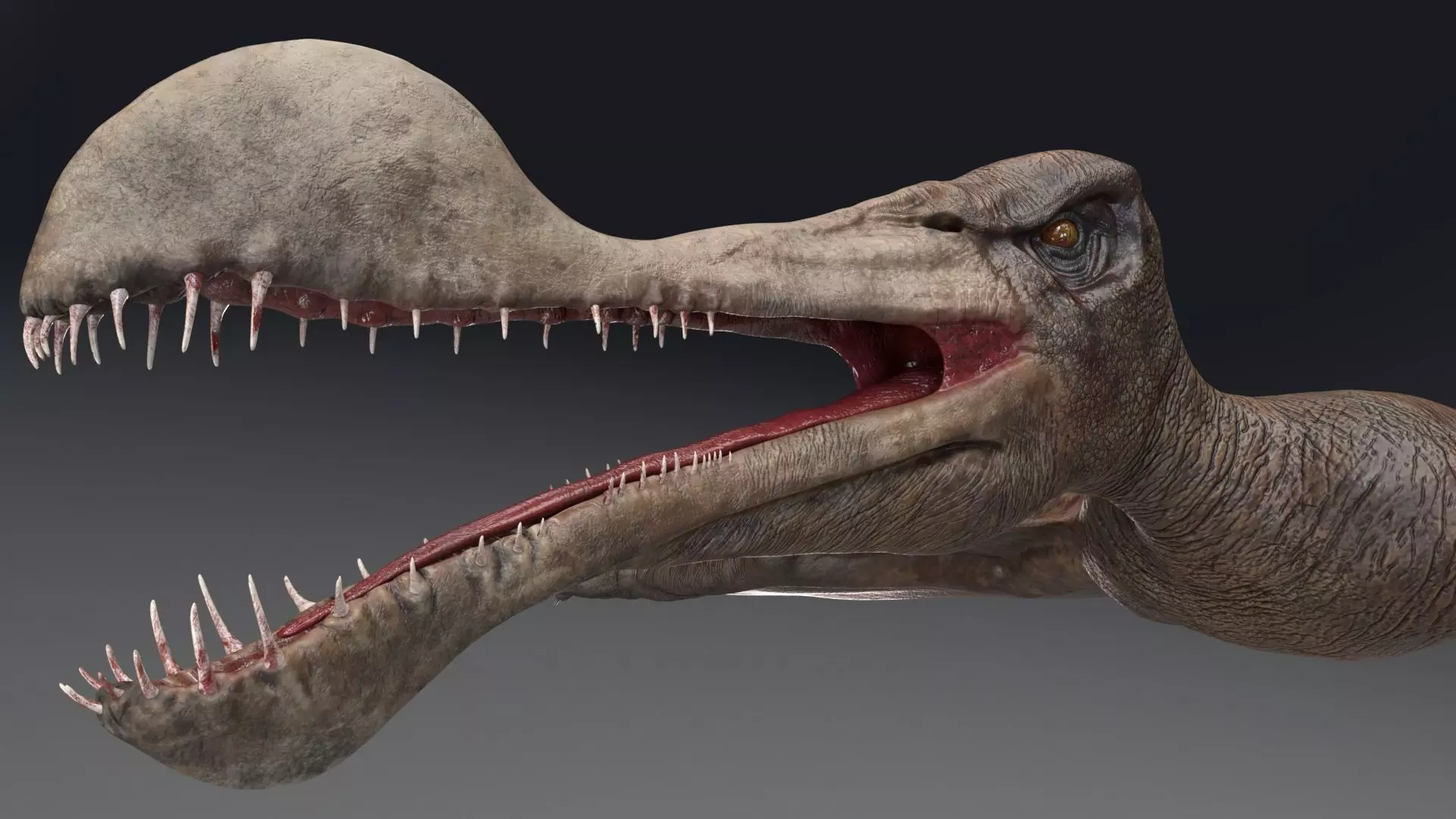 Dinosaur Tropeognathus dinosaur flying Low-poly 3D model_0