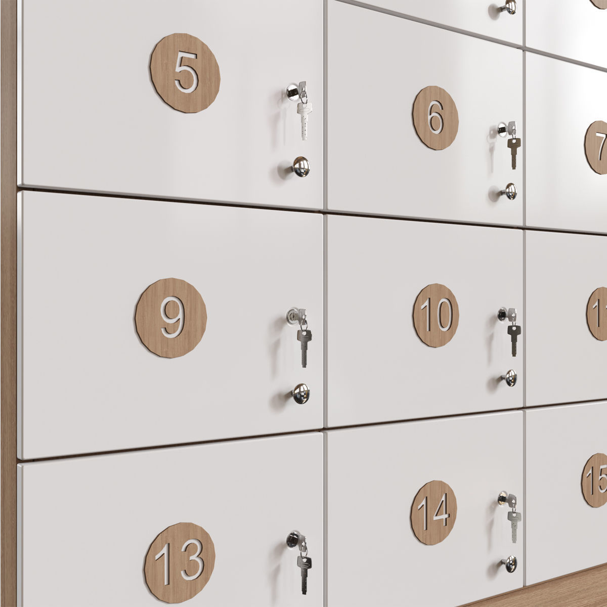 Luggage Storage 3D model_4