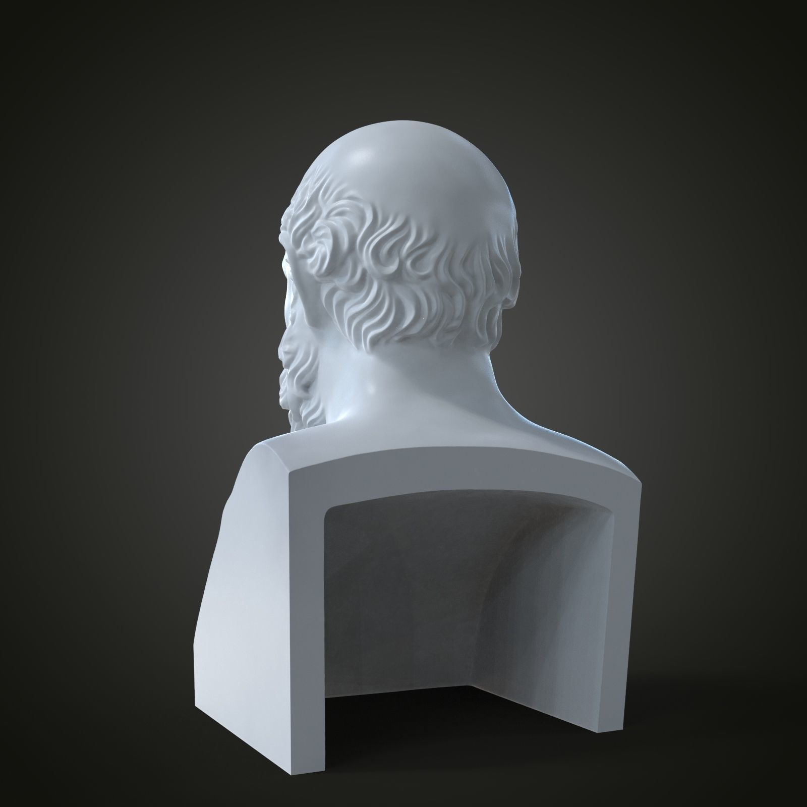 Bust of Socrates 3D print model_13