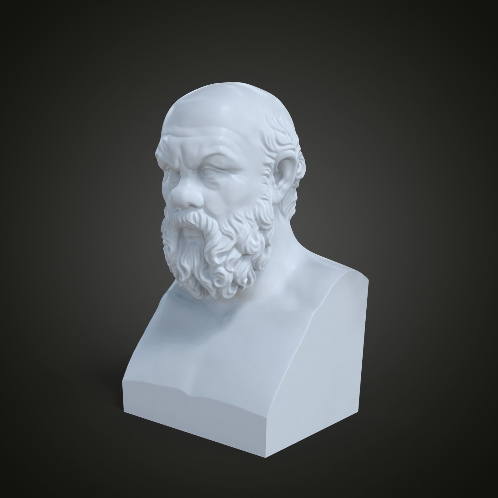 Bust of Socrates 3D print model_8