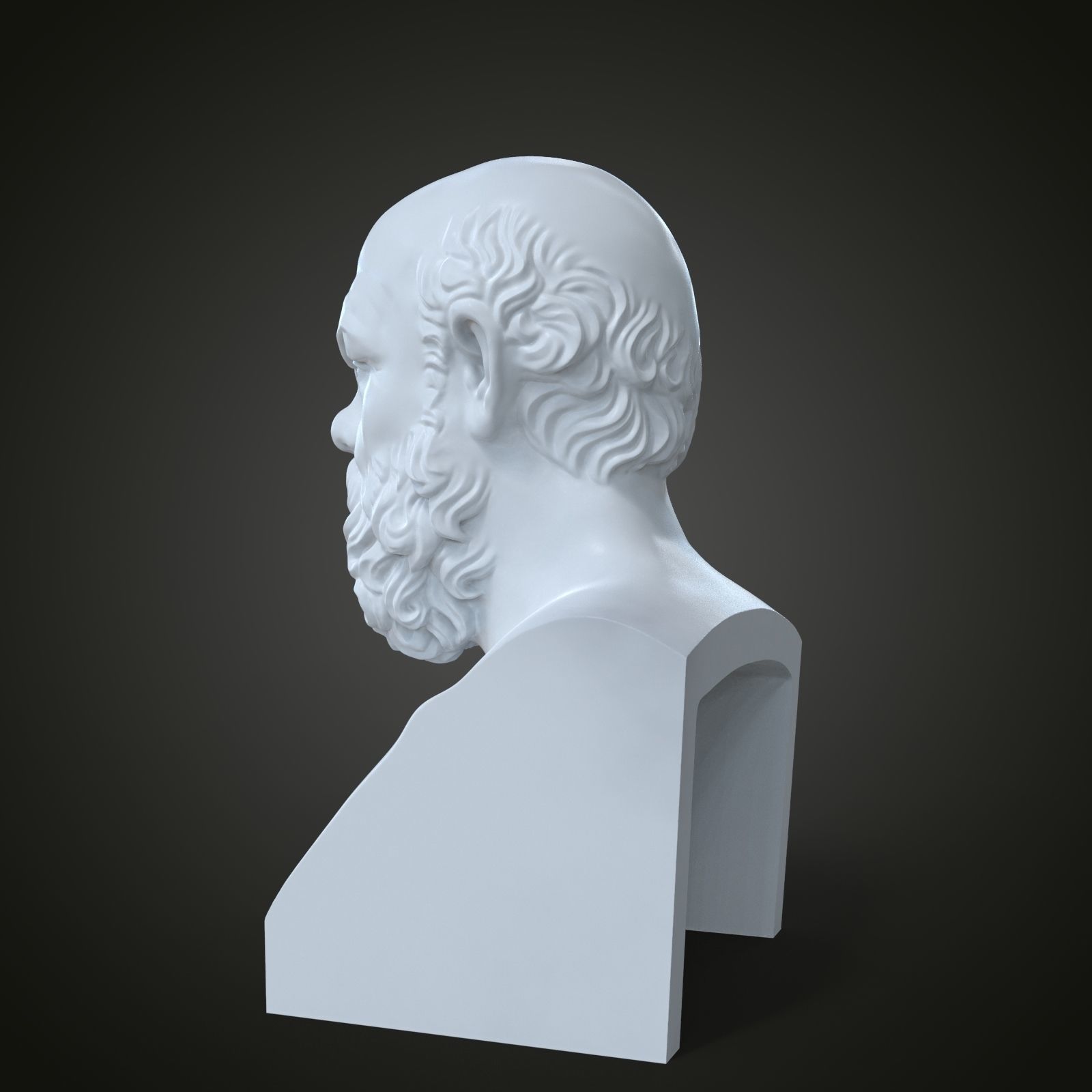 Bust of Socrates 3D print model_11