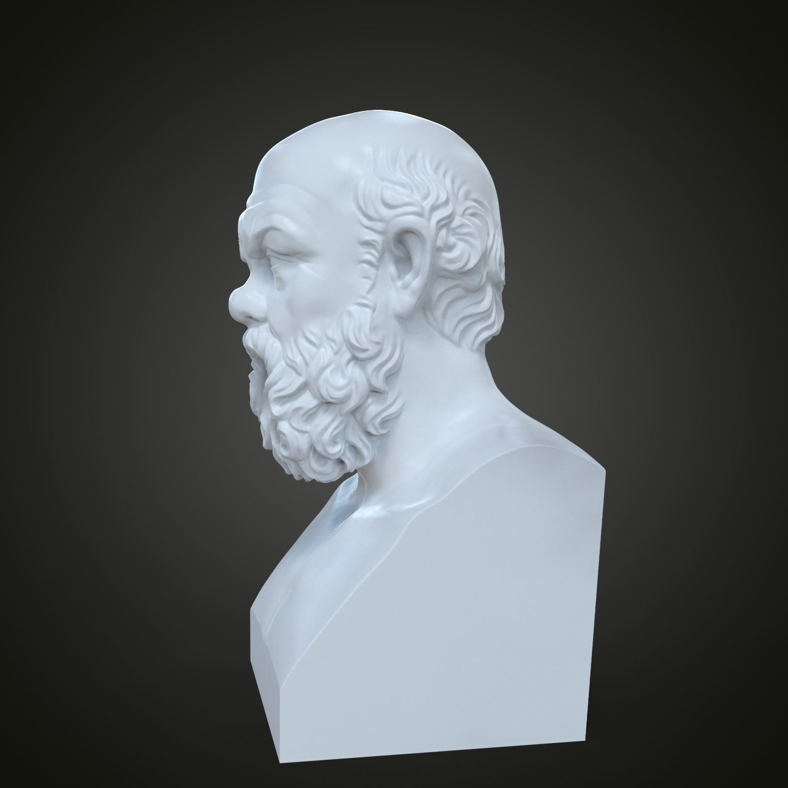 Bust of Socrates 3D print model_10