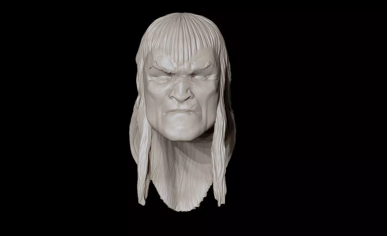 CONAN THE BARBARIAN 3D print model_0
