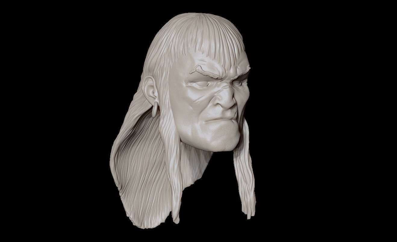 CONAN THE BARBARIAN 3D print model_4