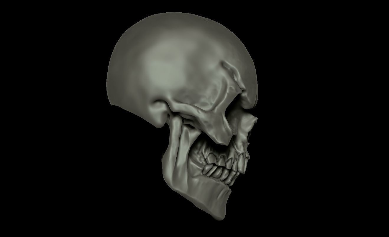 SKULL SKELETOR 3D print model_7