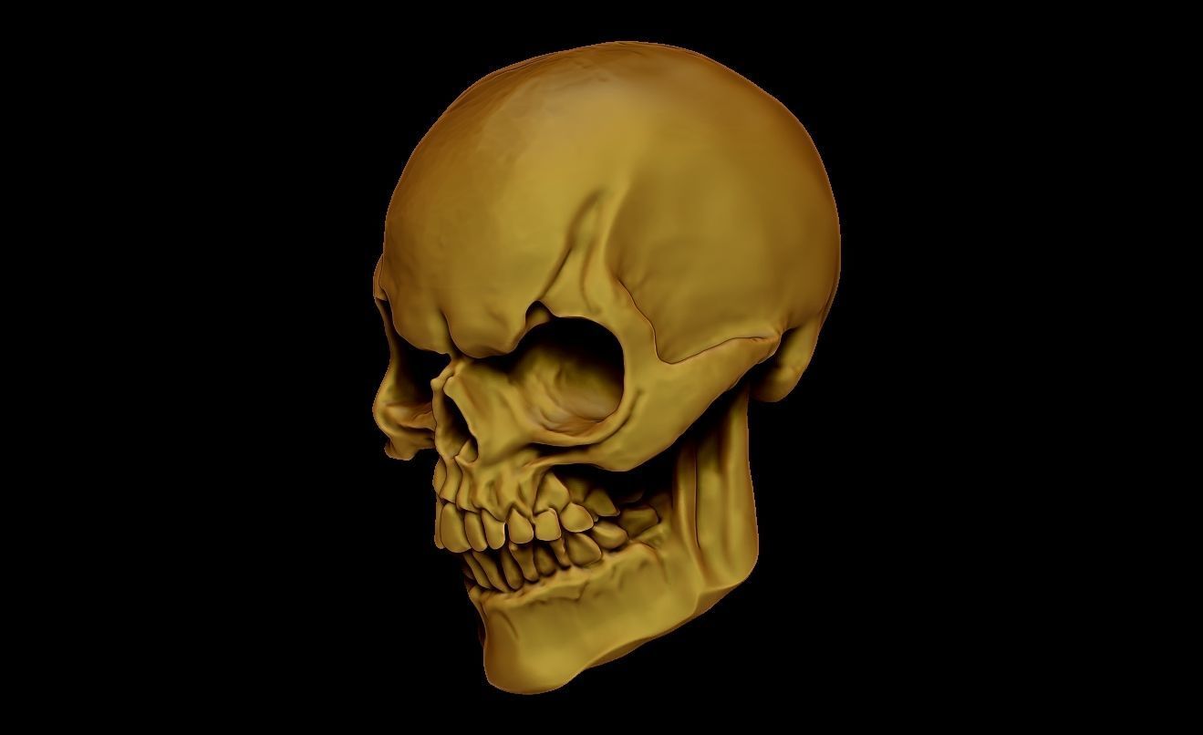 SKULL SKELETOR 3D print model_4