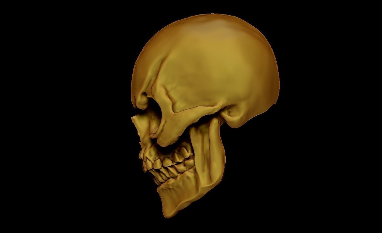 SKULL SKELETOR 3D print model_6