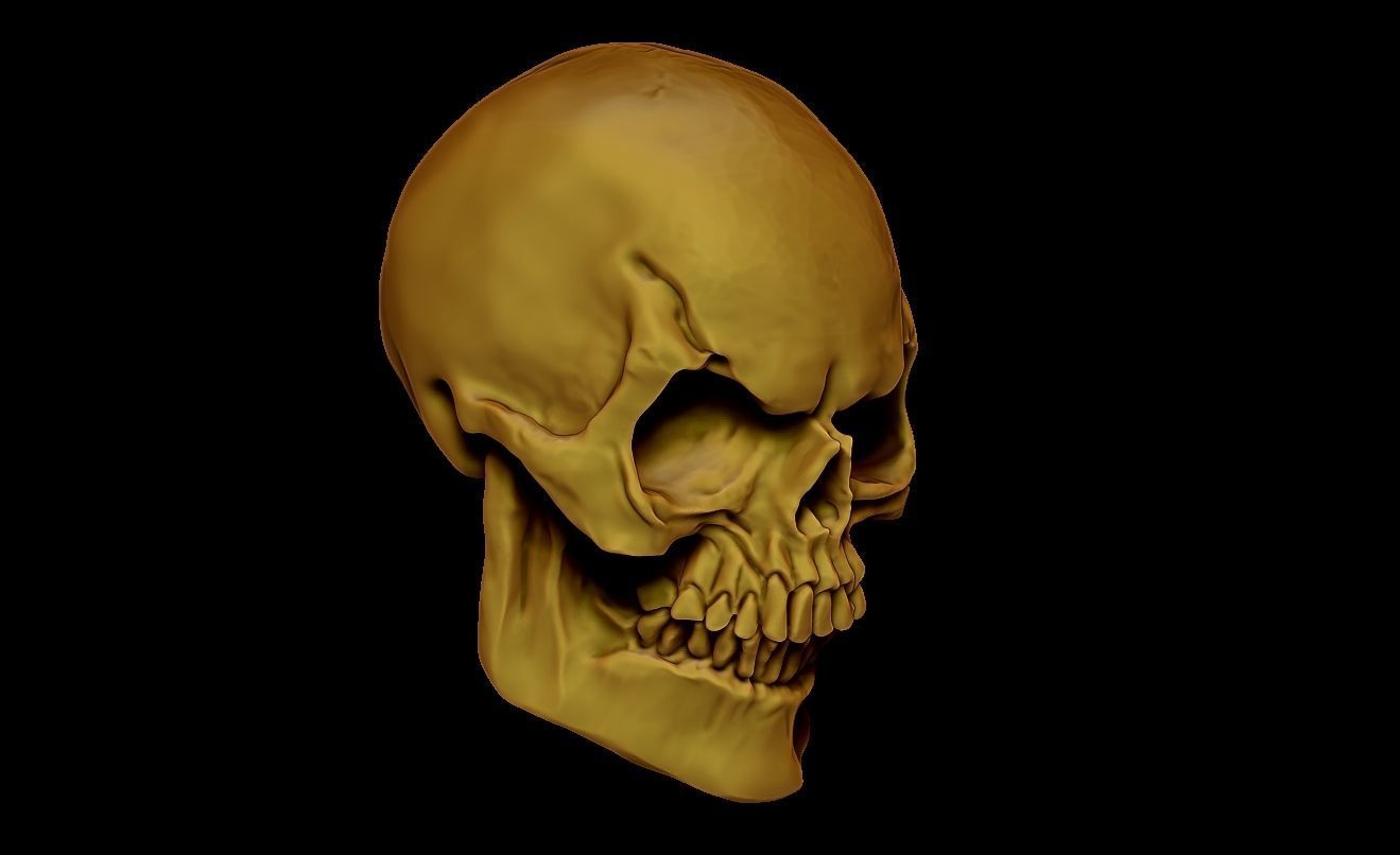 SKULL SKELETOR 3D print model_2