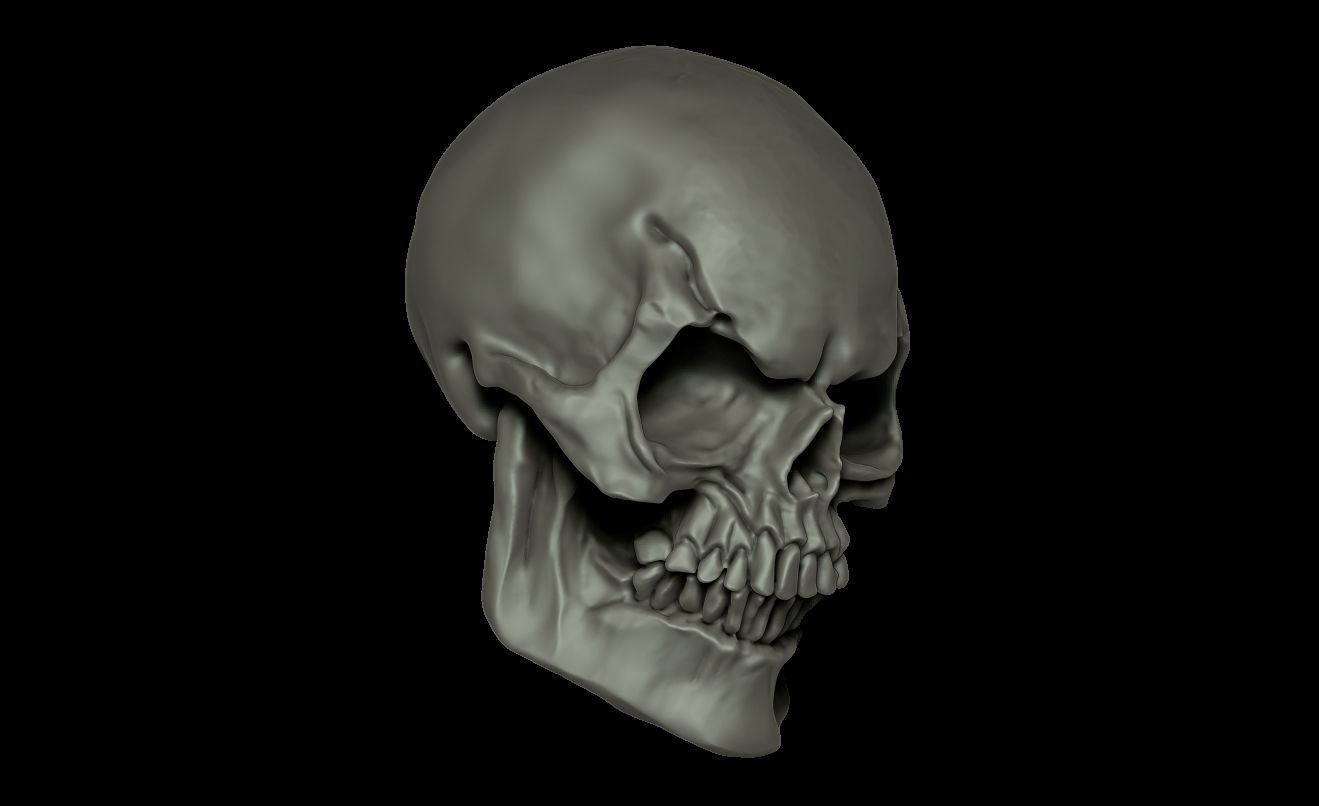 SKULL SKELETOR 3D print model_3