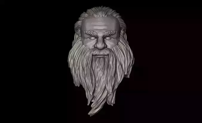 DWARF old man with long beard