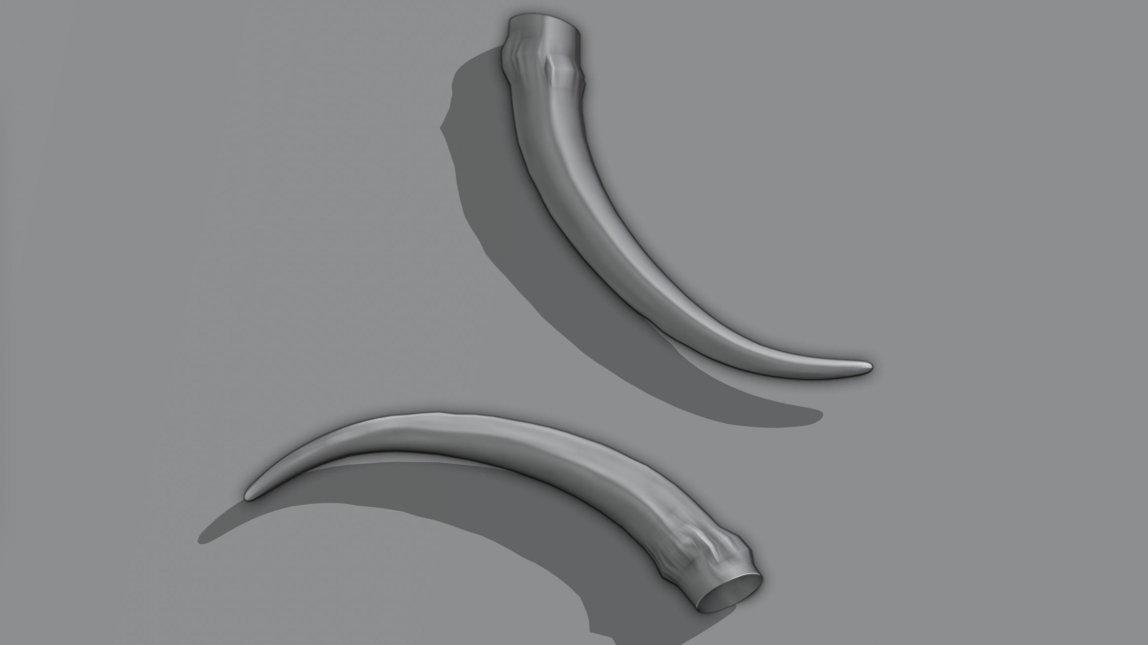 Horns 4 pair of tusks 3D model_5