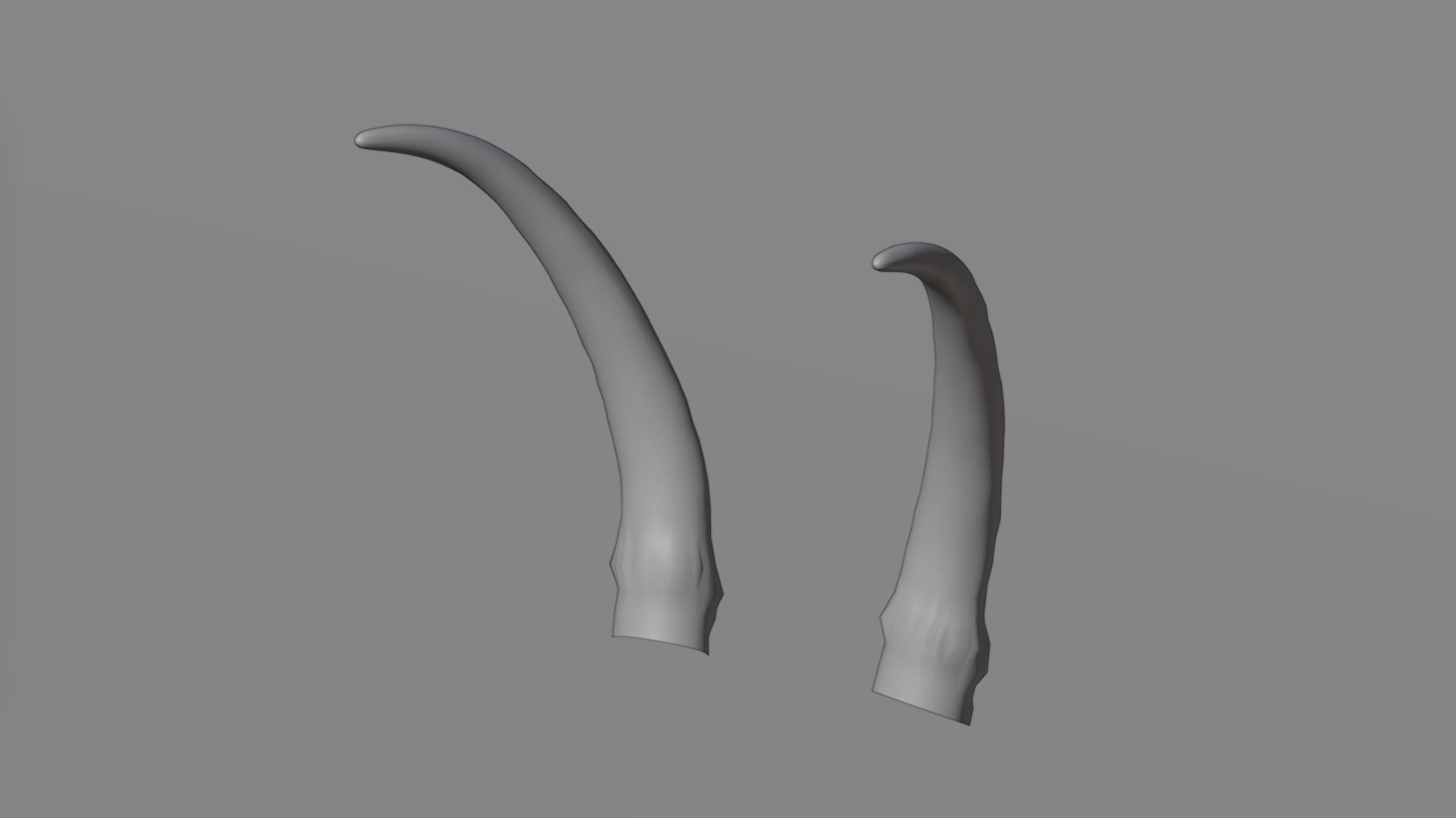 Horns 4 pair of tusks 3D model_3