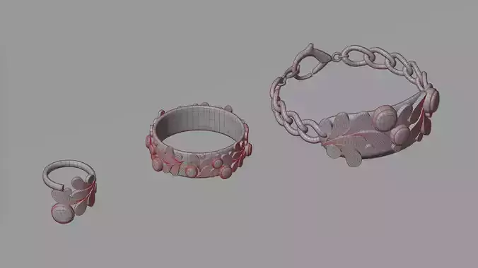 Jewelry set of rings