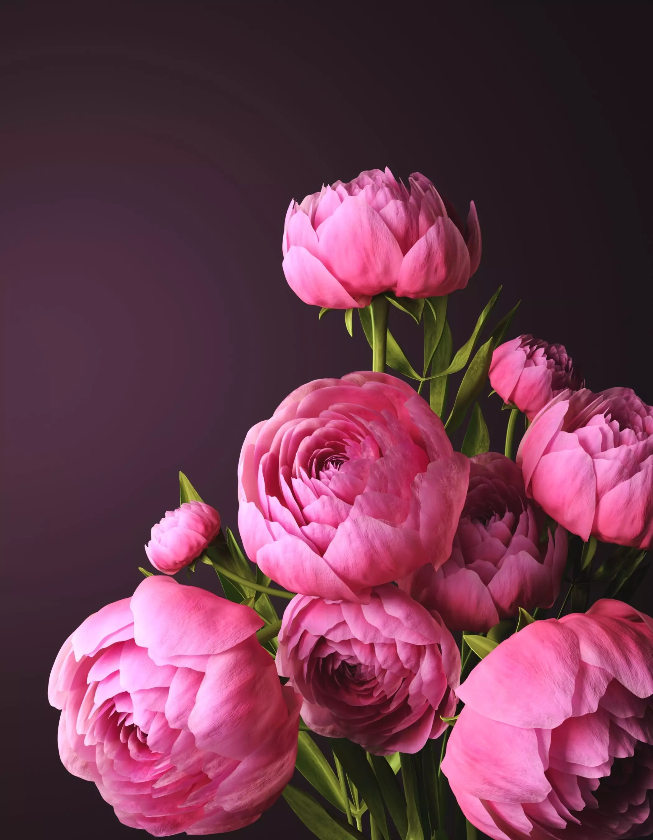 Compositions of pink peonies in decorative vases 3D model_0