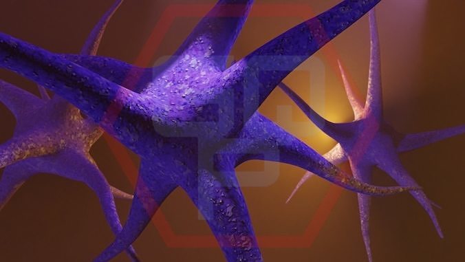 NEURON Low-poly 3D model