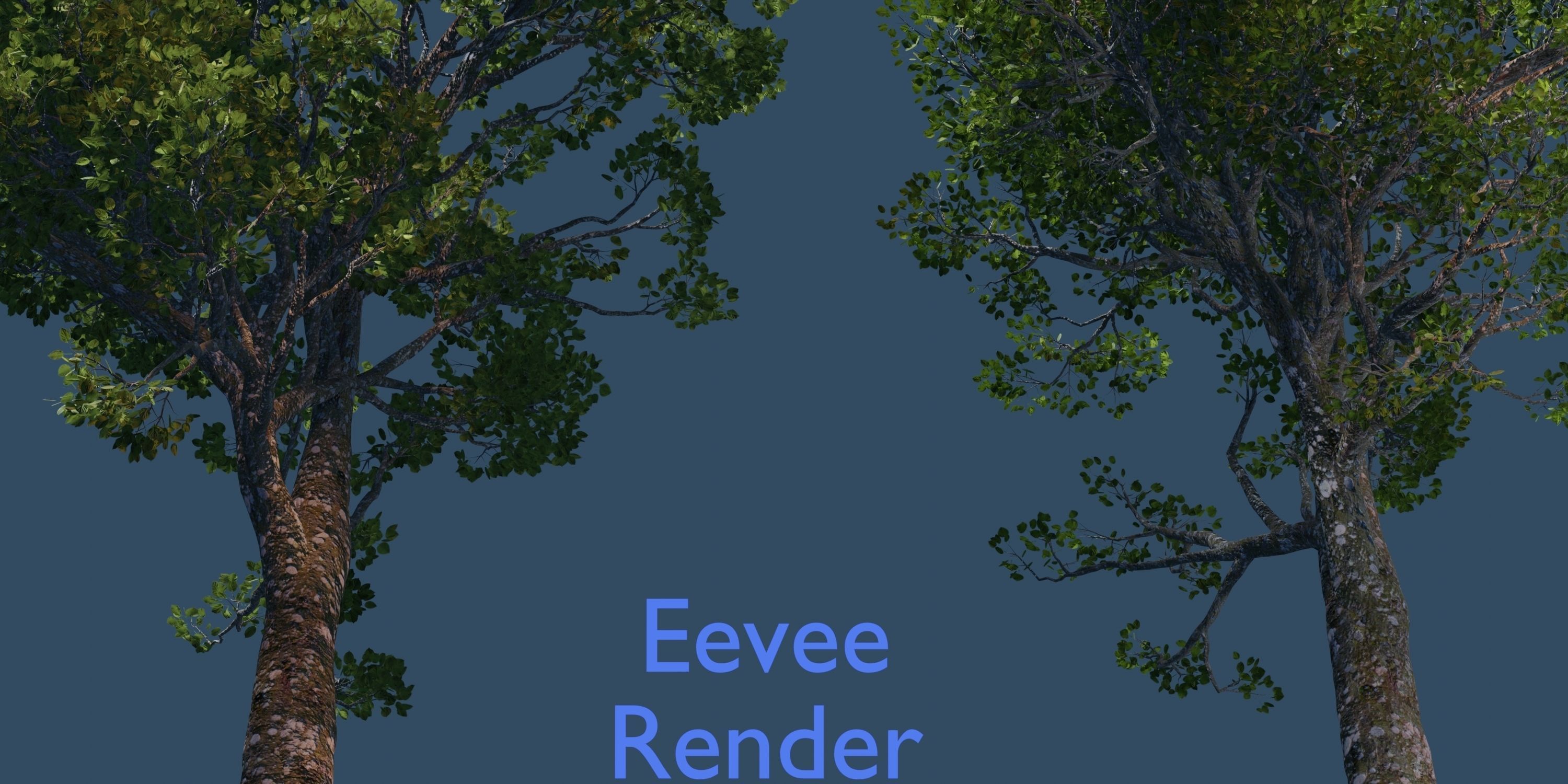 Aspen Tree Ver 0-1-9in1 3D model_3