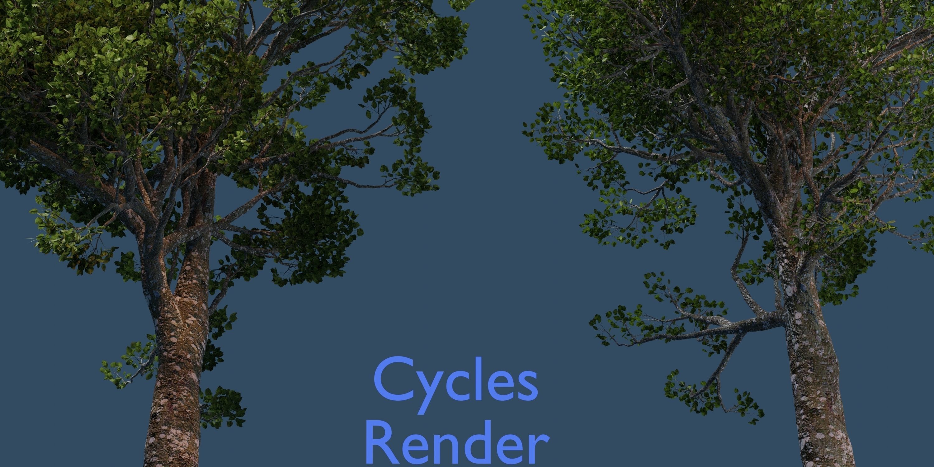 Aspen Tree Ver 0-1-9in1 3D model_4